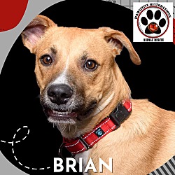 Photo of BRIAN