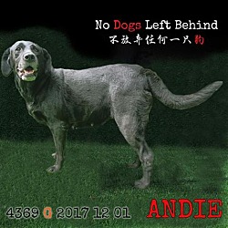Photo of Andie 4369