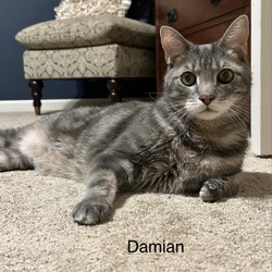 Photo of Damien