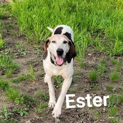 Thumbnail photo of Ester #1
