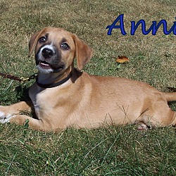Thumbnail photo of Annie #3