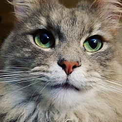 Photo of Aelin
