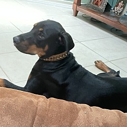 Photo of Benny