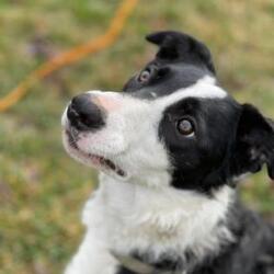 Photo of Sally