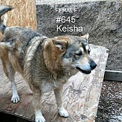 Photo of Keisha