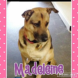 Photo of Madeleine