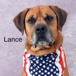 Photo of Lance