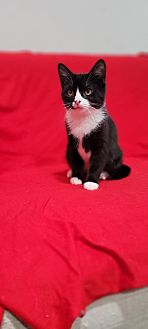 Eurydice *Adoption Pending