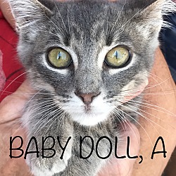 Thumbnail photo of Baby Doll #3
