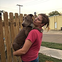 adopt a pet