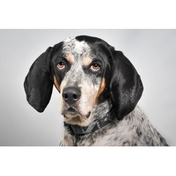 Photo of DAISY