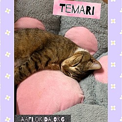Photo of Temari