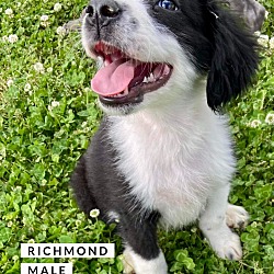 Photo of Richmond