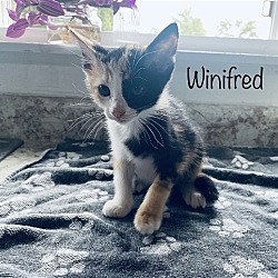 Photo of Winifred