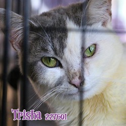 Photo of TRISHA