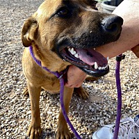 post animal refuge center