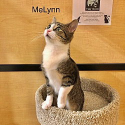 Thumbnail photo of MeLynn #3