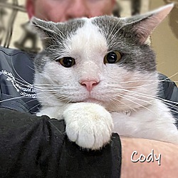 Thumbnail photo of Cody #4