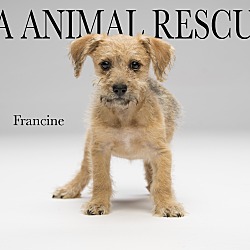 Thumbnail photo of Francine #1