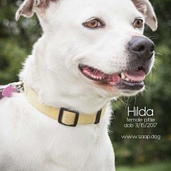 Photo of Hilda
