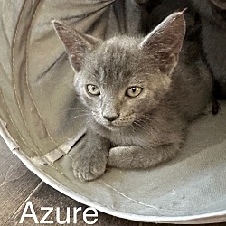 Photo of Azure
