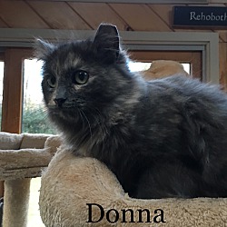Thumbnail photo of Donna #2