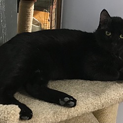 Thumbnail photo of Boris #1