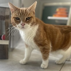 Photo of Max