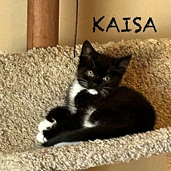 Photo of Kaisa
