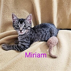 Photo of Miriam