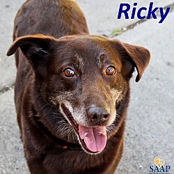 Thumbnail photo of Ricky #1