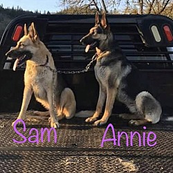 Photo of Annie & Sam