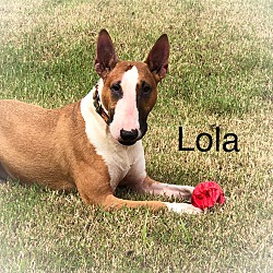 Photo of Lola