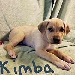 Photo of Kimba