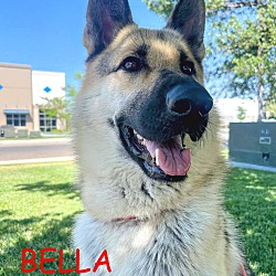 Thumbnail photo of BELLA #2