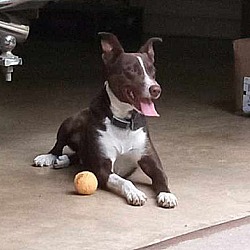 Photo of Zoomer