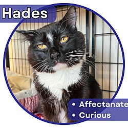 Photo of Hades