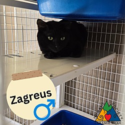 Photo of Zagreus