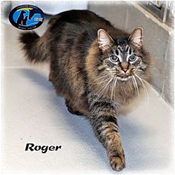 Thumbnail photo of Roger #2