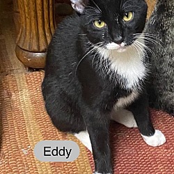 Photo of Eddy