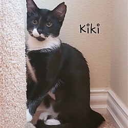 Photo of Kiki #lopsided-milk-moustache