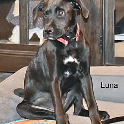 Photo of LUNA