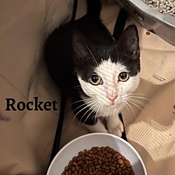 Photo of Rocket