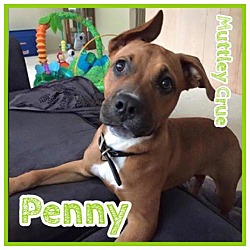 Thumbnail photo of Penny #4