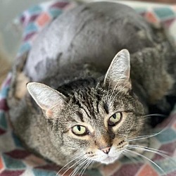 Photo of Meredith