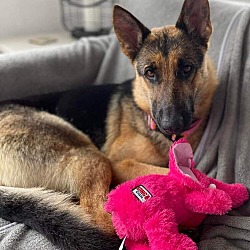 Photo of Susie
