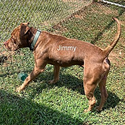 Thumbnail photo of Jimmy #4