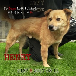 Thumbnail photo of Henry 2167 #3