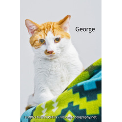 Thumbnail photo of George #1