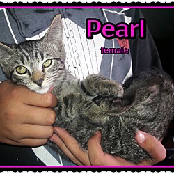 Thumbnail photo of Pearl #2